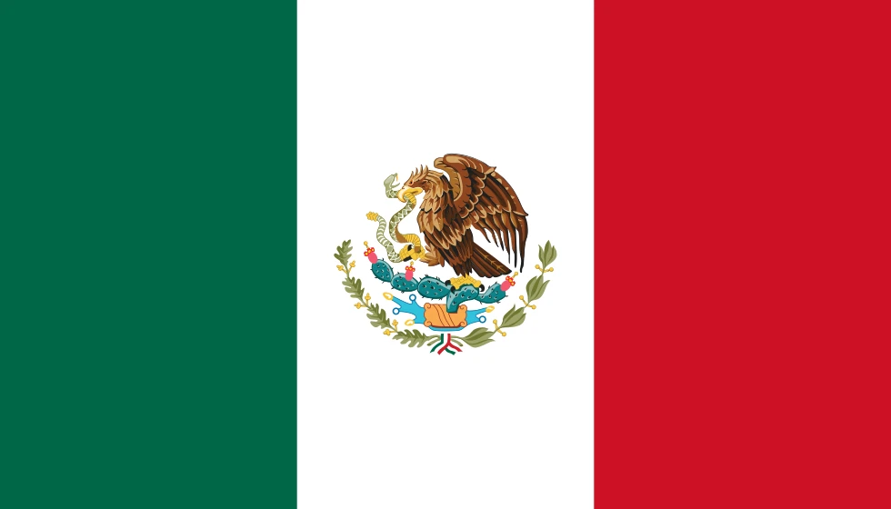 Bandera MX