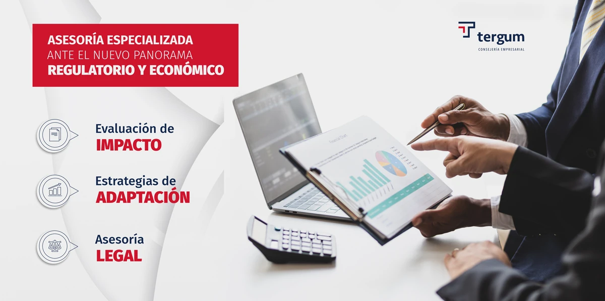asesoría especializada de TG